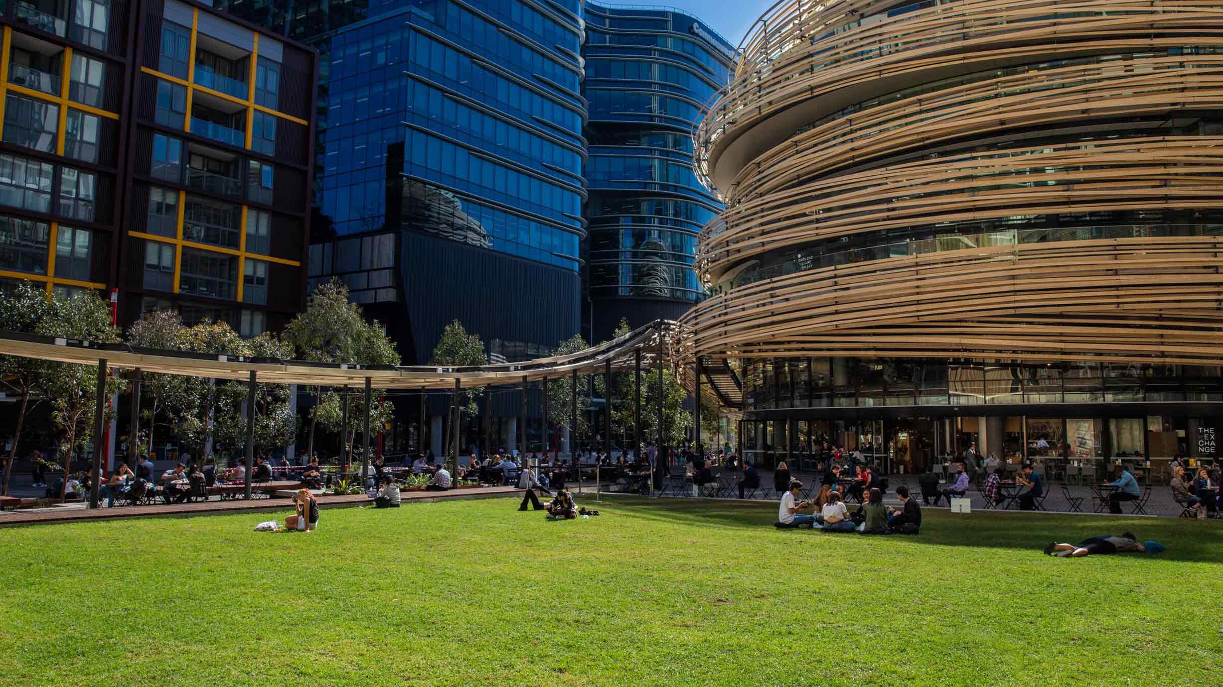 People sit and relax on a grassy lawn surrounded by modern office buildings and a curved wooden structure on a sunny day.